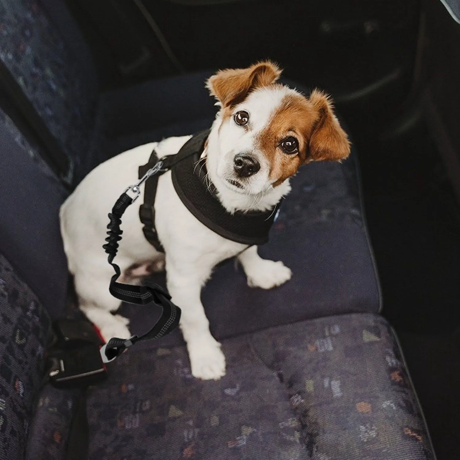 2-Piece: Pet Car Safety Seatbelt