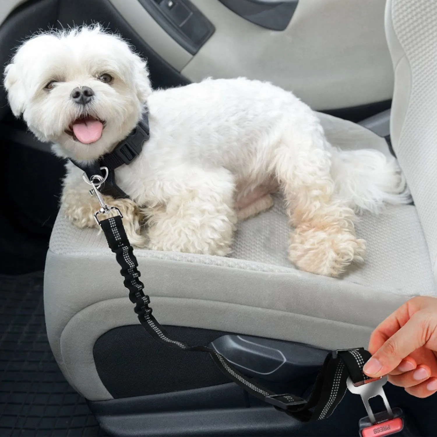 2-Piece: Pet Car Safety Seatbelt
