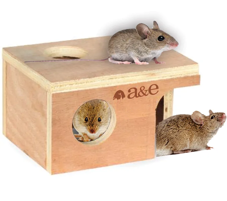 A&E Nibbles Mouse Hut Small