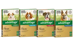 Advantage for Dogs