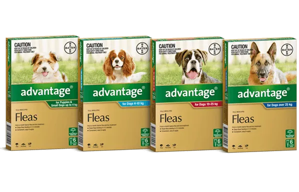 Advantage for Dogs