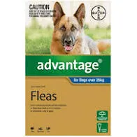 Advantage for Dogs