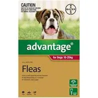 Advantage for Dogs