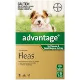 Advantage for Dogs