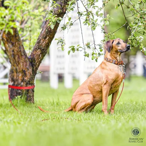 American Kennel Club AKC Heavy Duty Steel Tie-Out Cable for Dogs