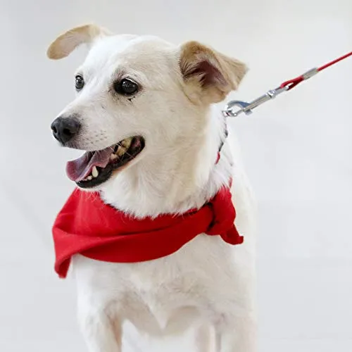 American Kennel Club AKC Heavy Duty Steel Tie-Out Cable for Dogs