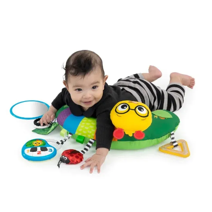 Baby Einstein Cat-a-pillow