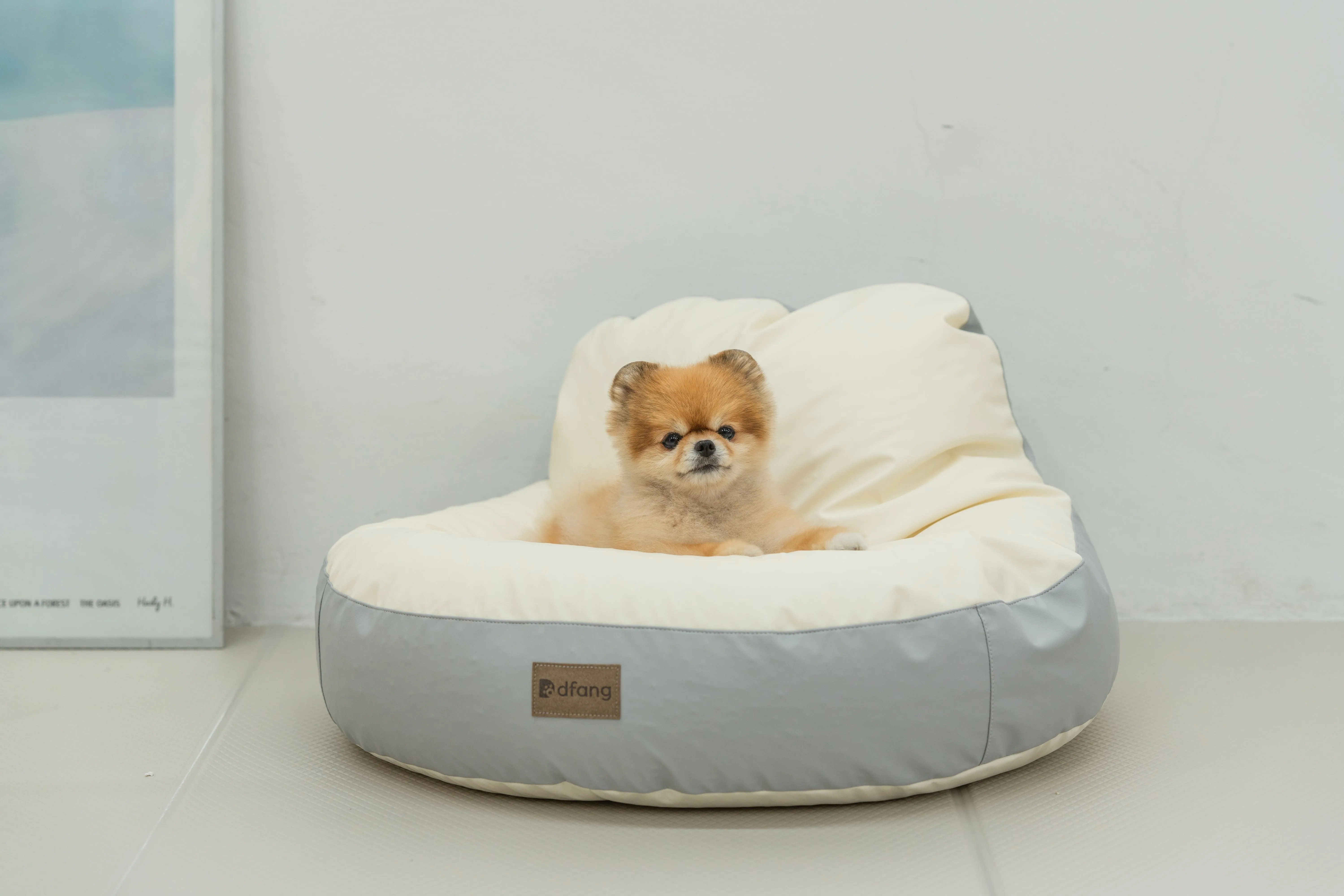 Beanbag Chair