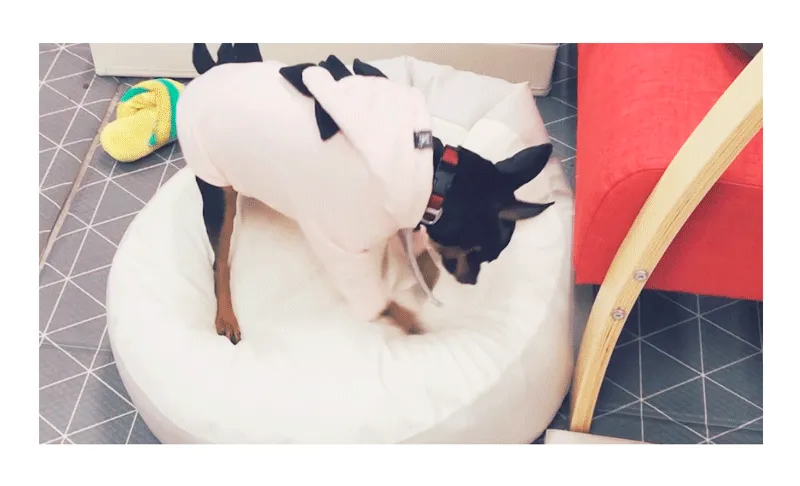 Beanbag Chair
