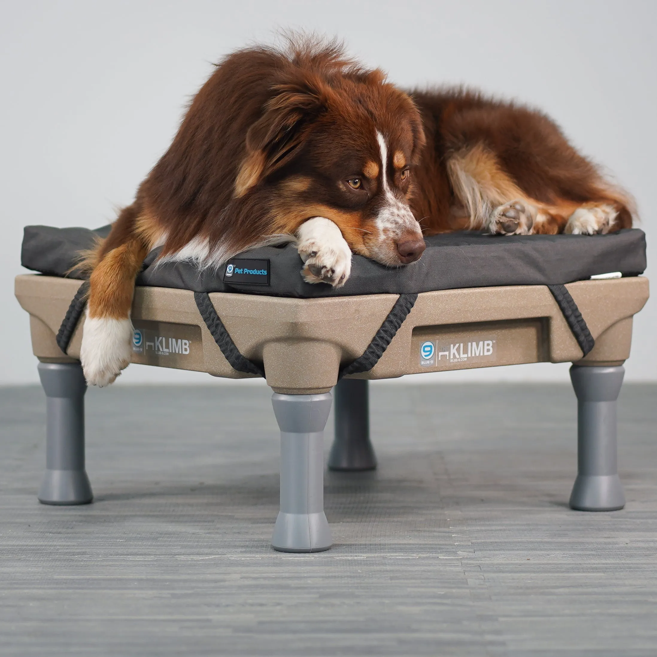 Blue-9 Restore Dog Bed Single