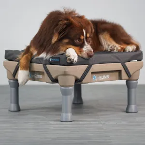 Blue-9 Restore Dog Bed Single