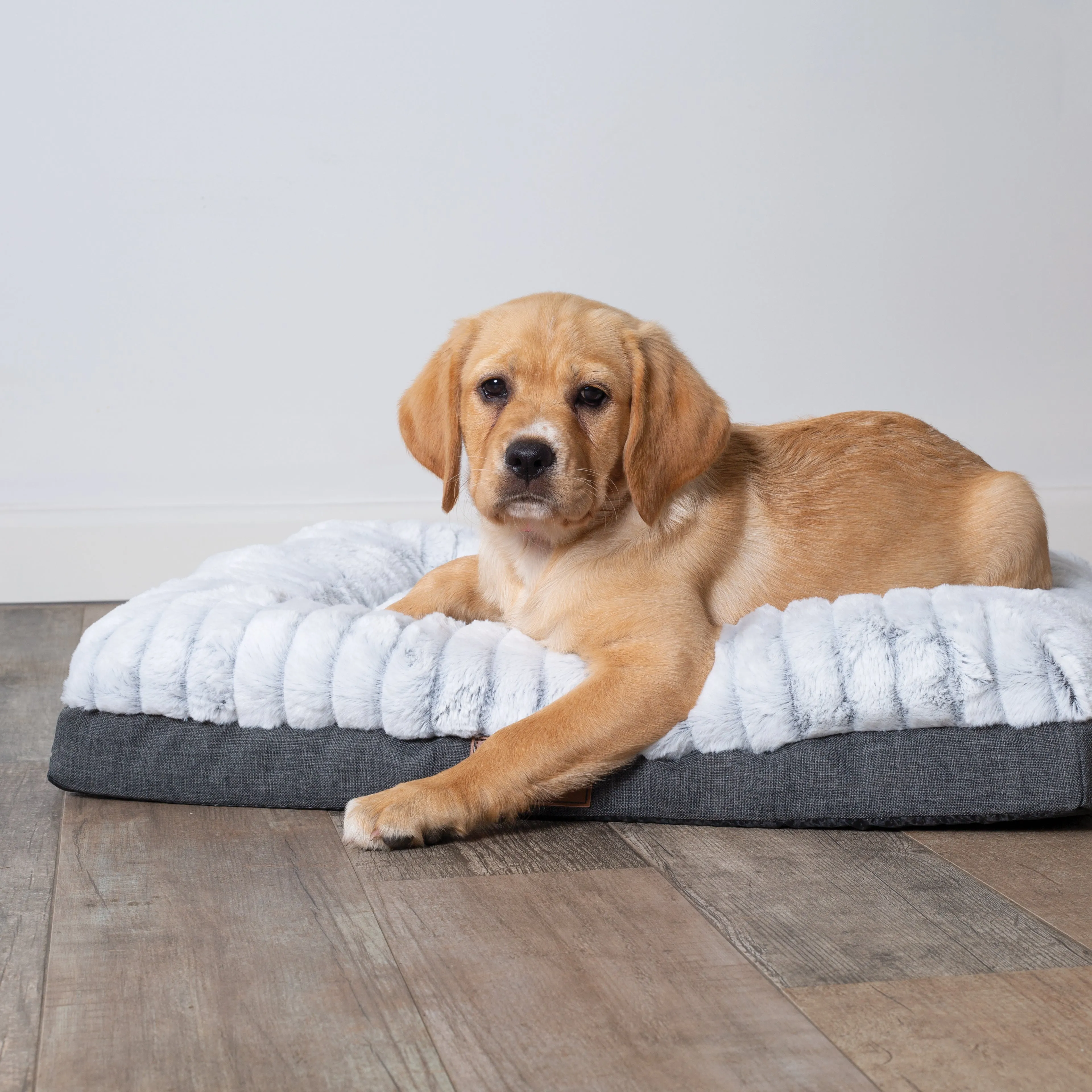 Cloud Comfort Dog Bed