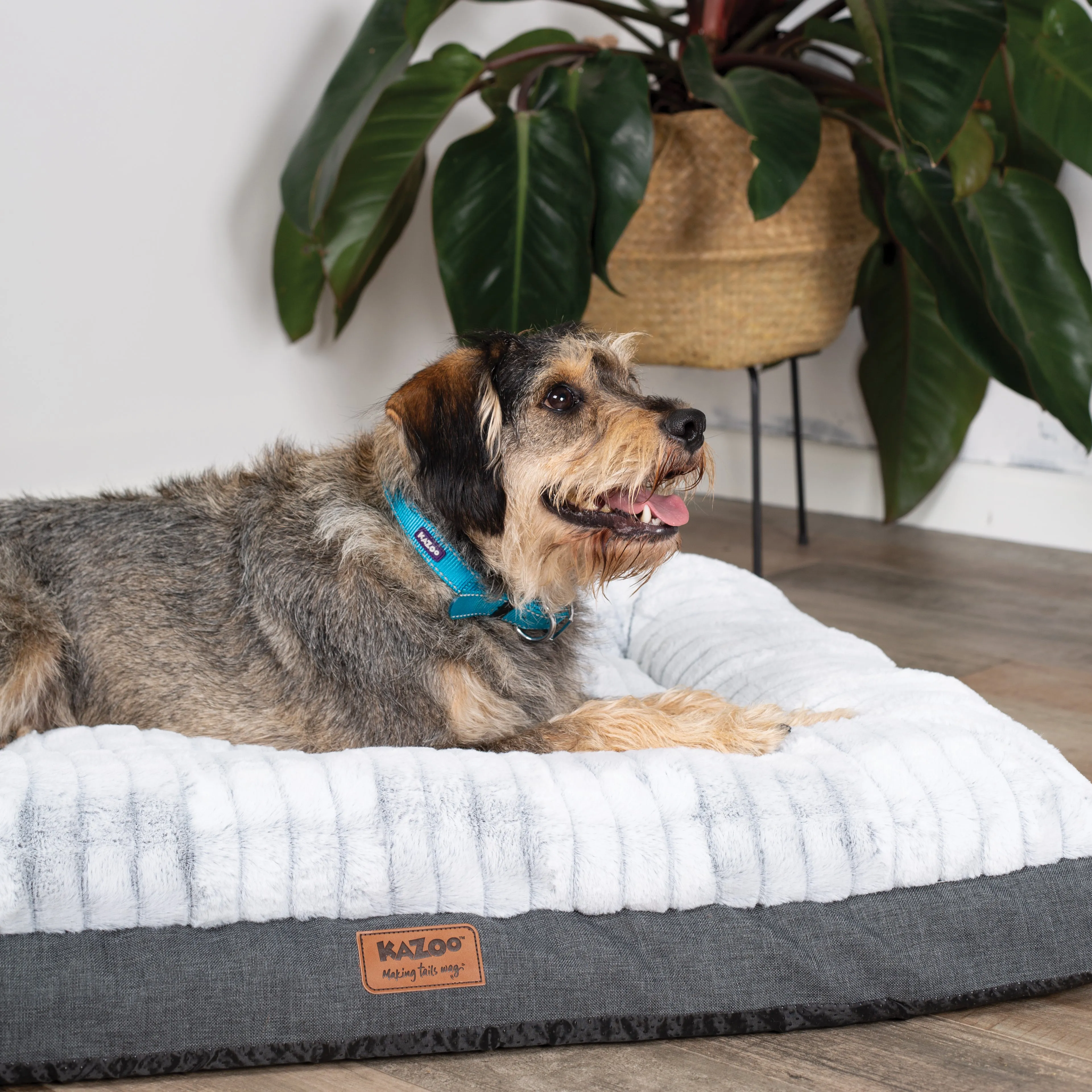 Cloud Comfort Dog Bed