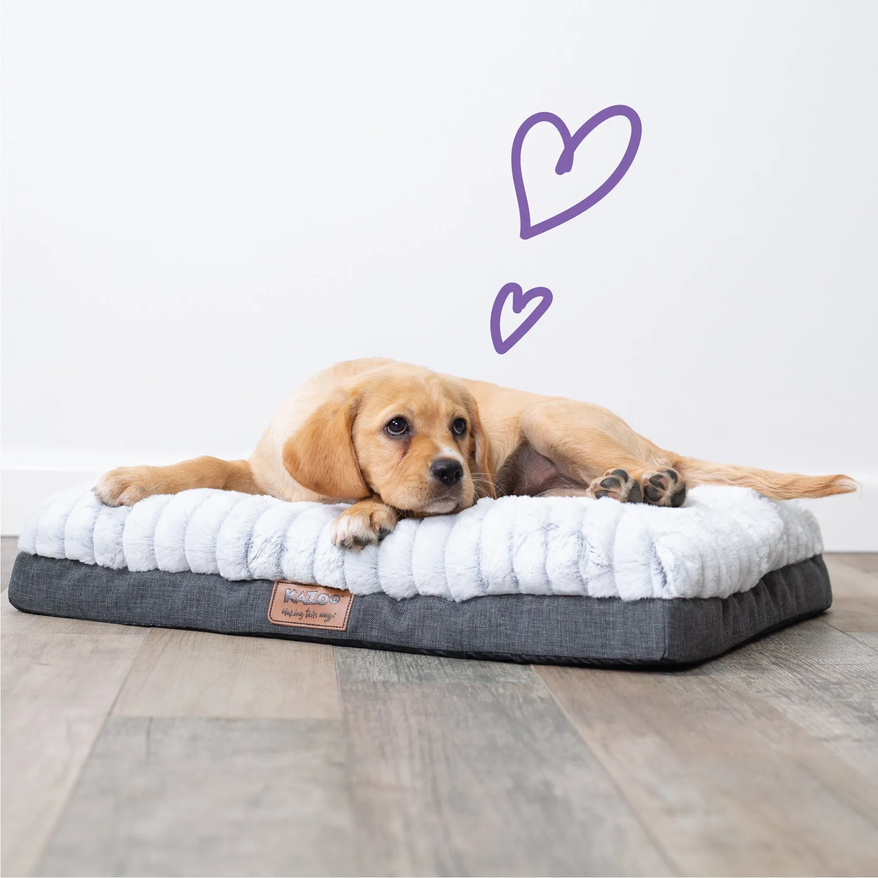 Cloud Comfort Dog Bed