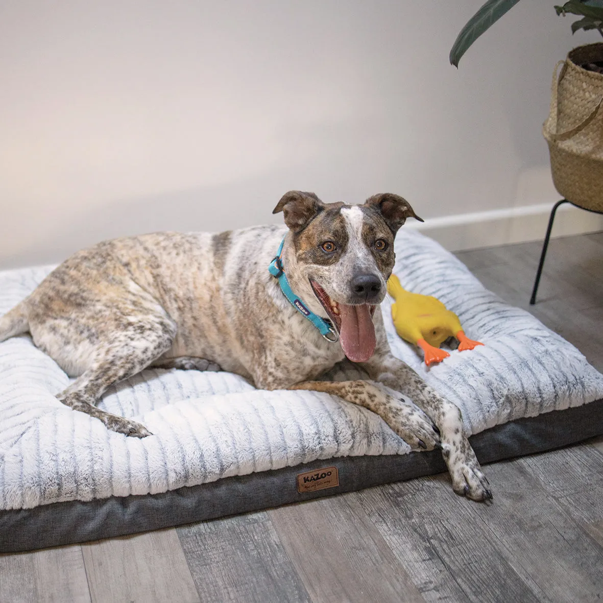 Cloud Comfort Dog Bed