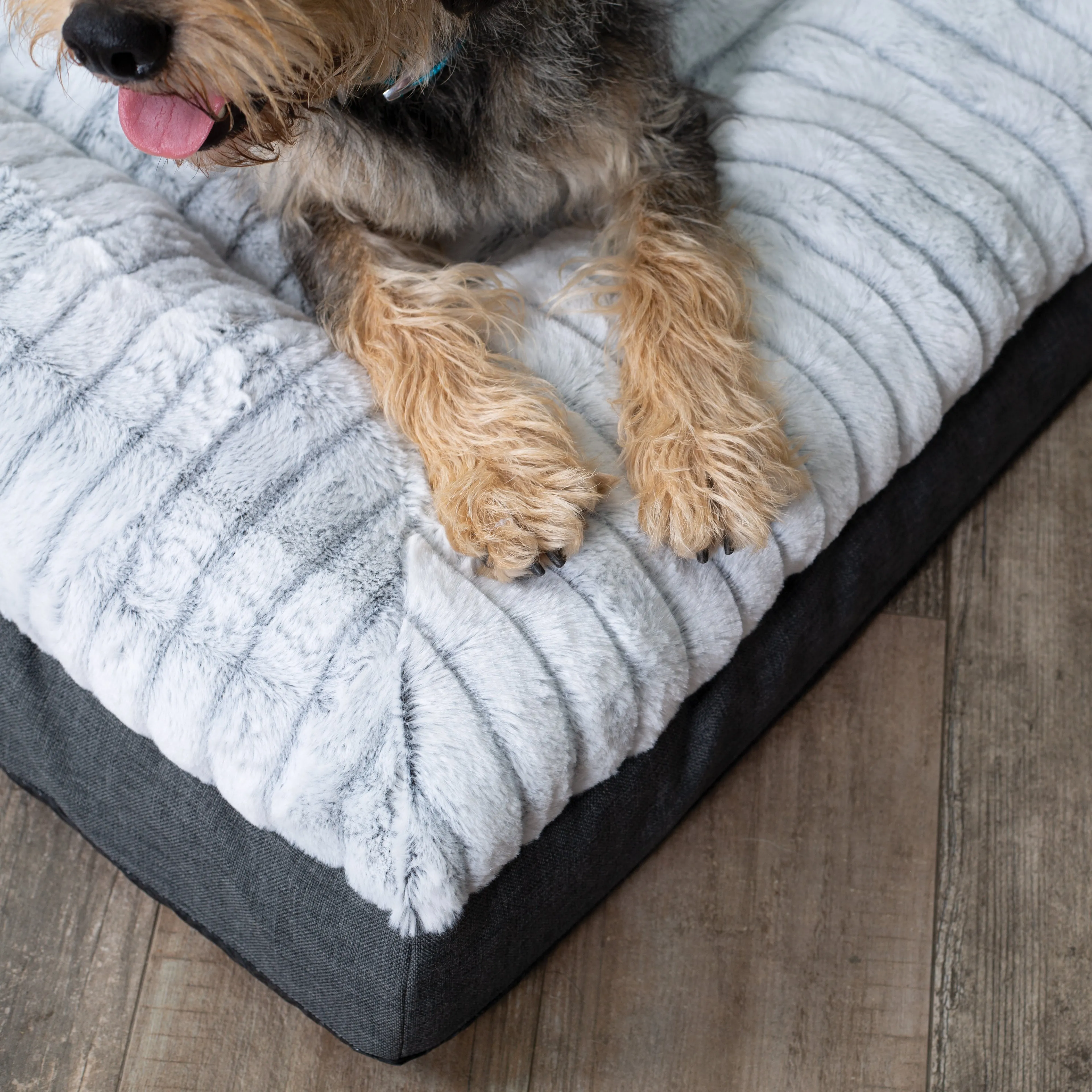 Cloud Comfort Dog Bed