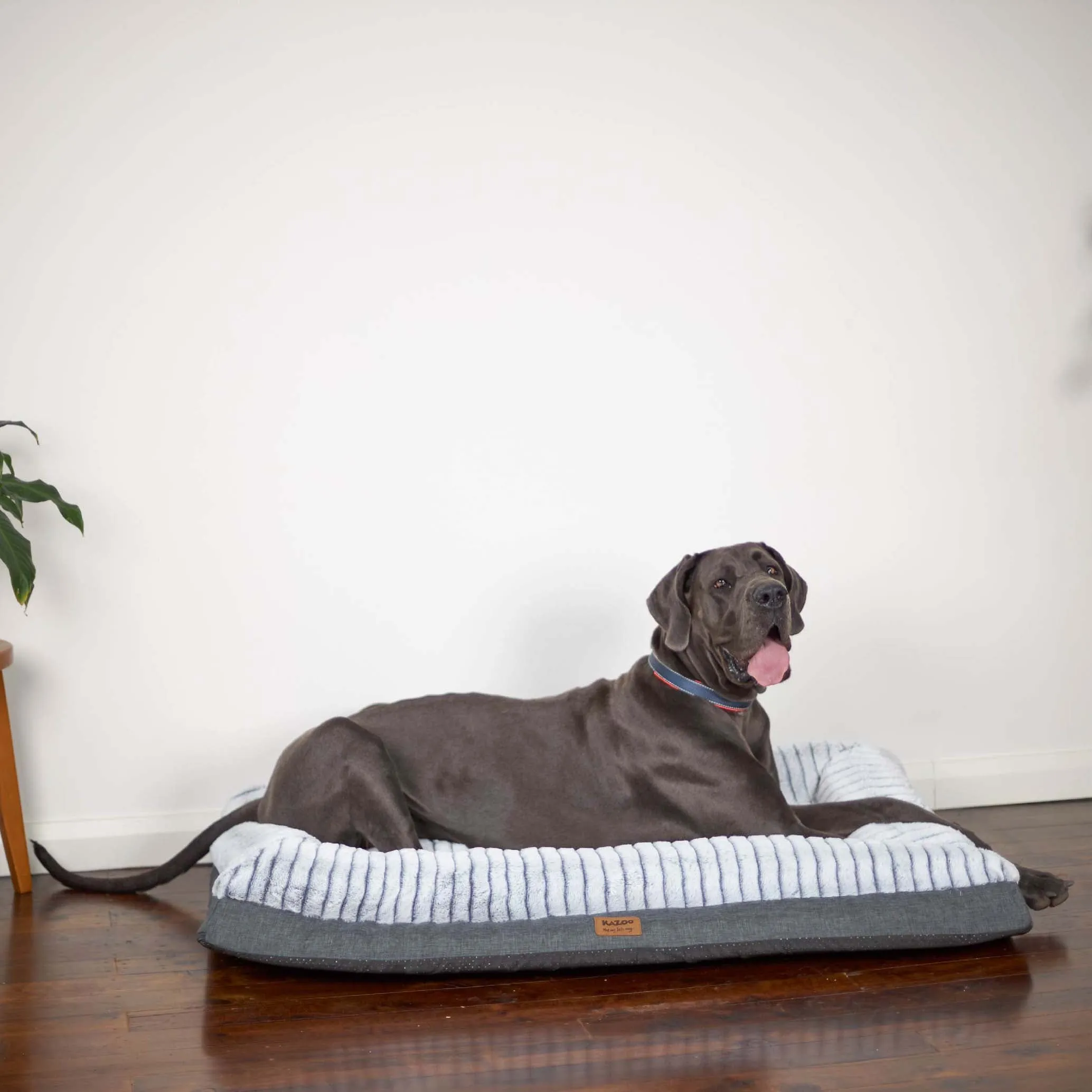 Cloud Comfort Dog Bed