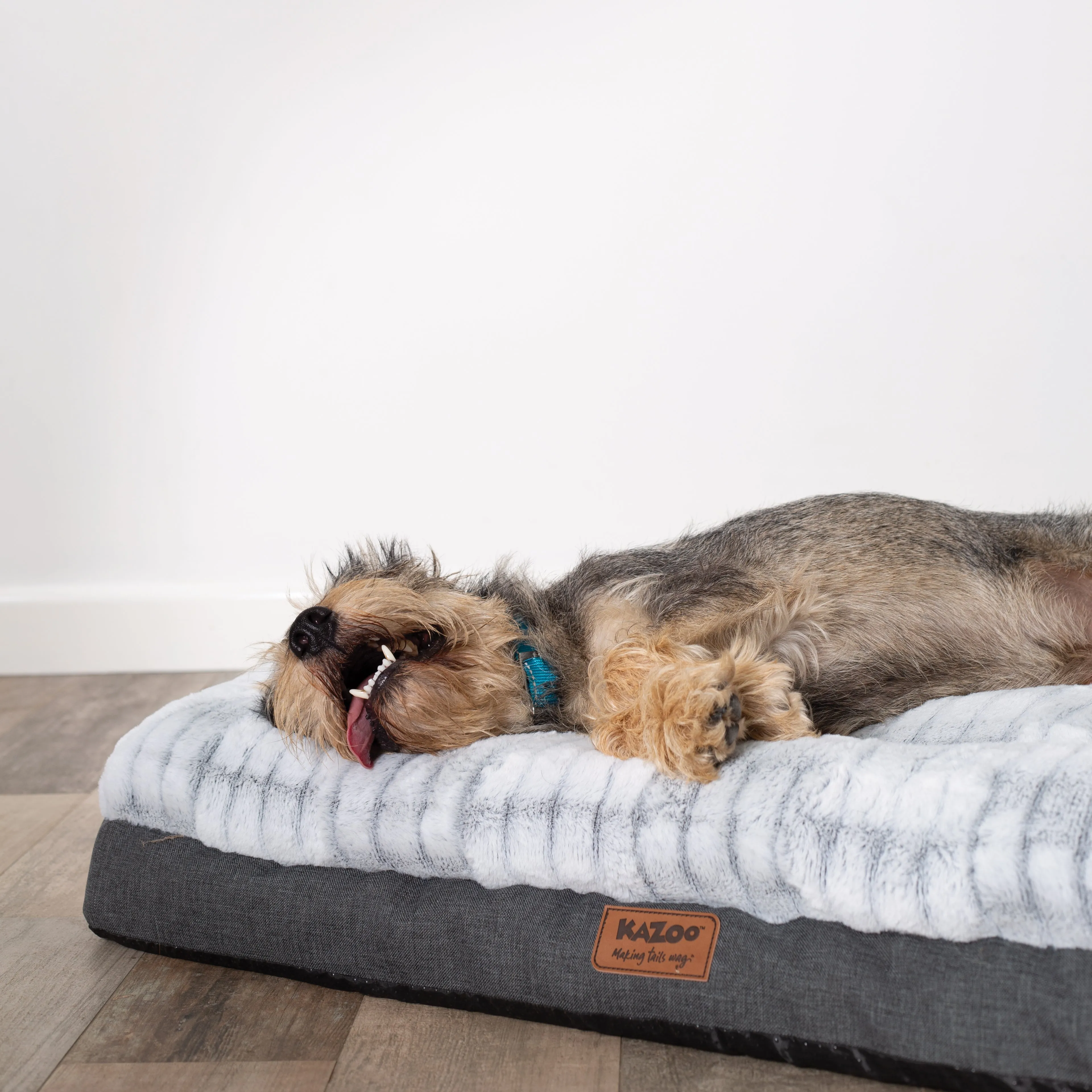 Cloud Comfort Dog Bed