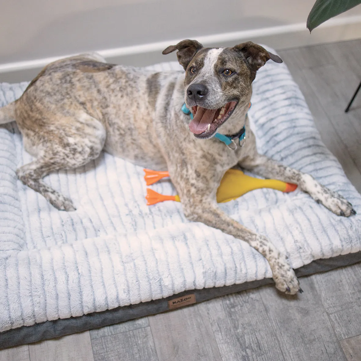 Cloud Comfort Dog Bed