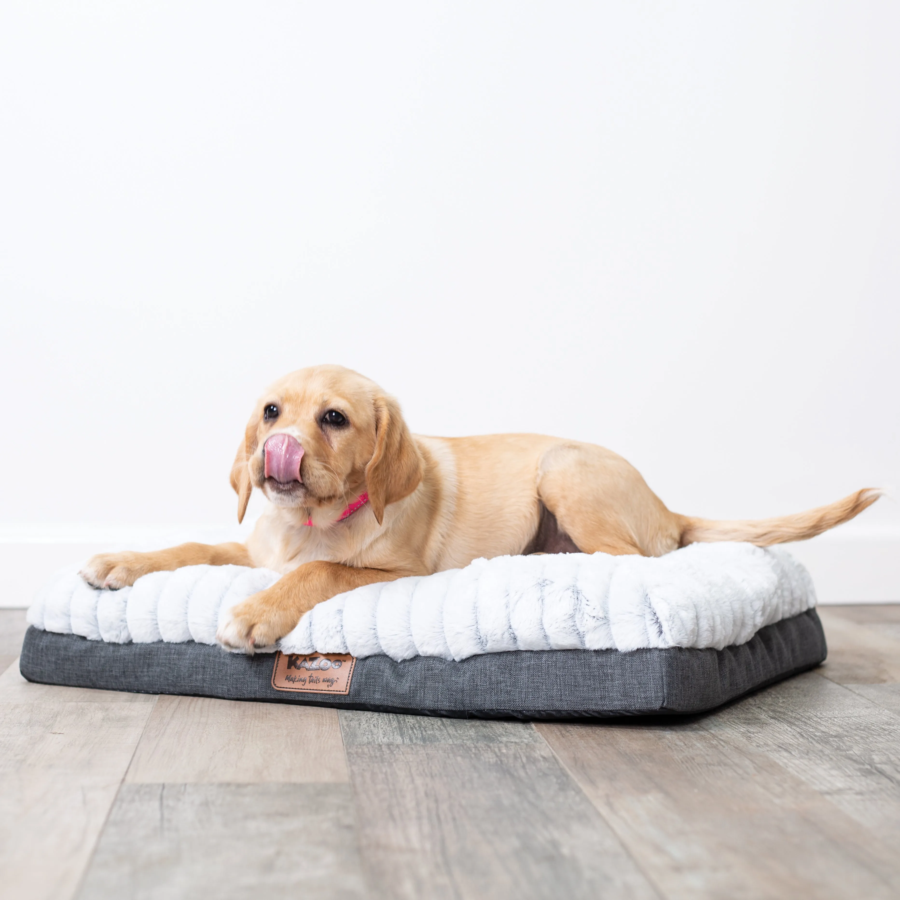 Cloud Comfort Dog Bed