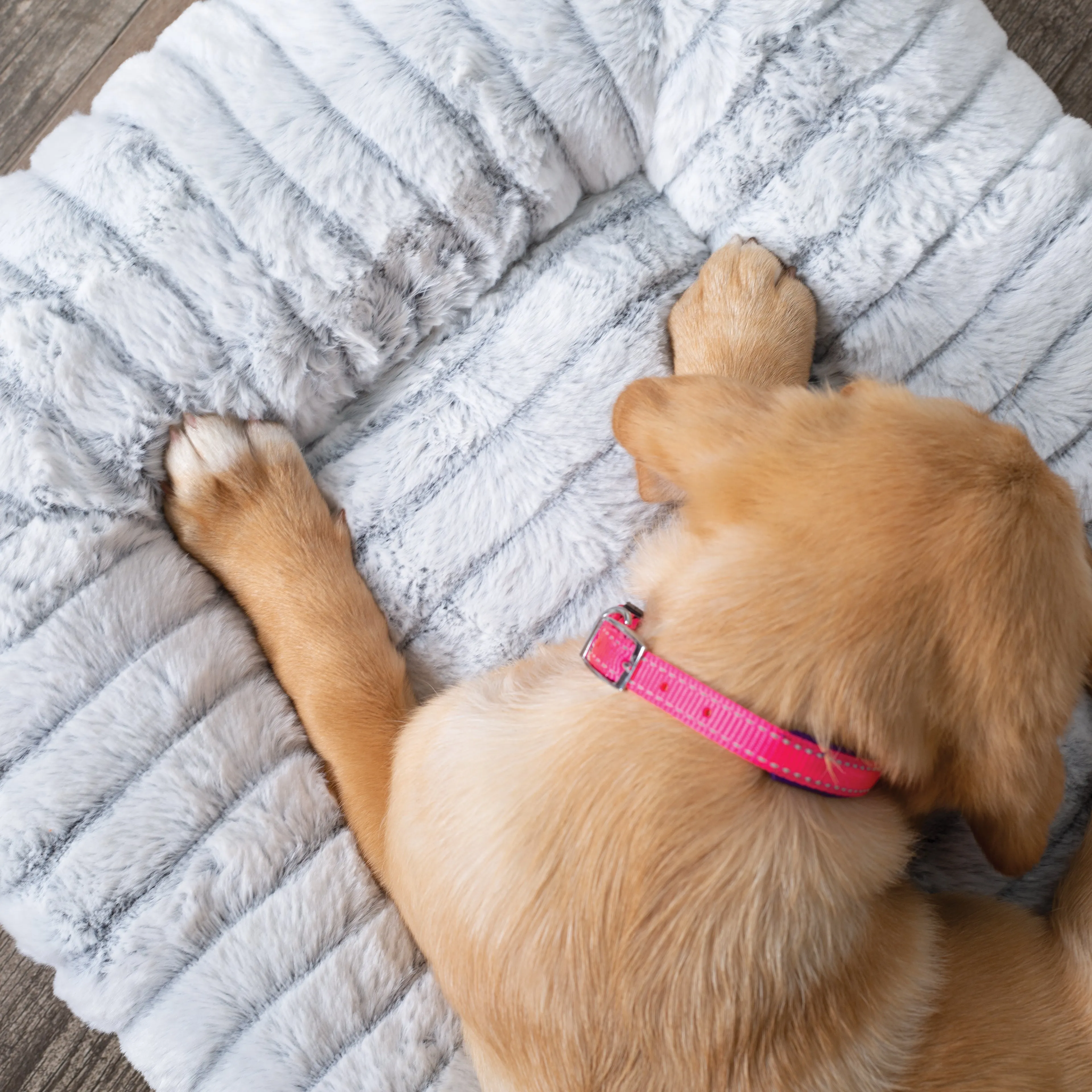 Cloud Comfort Dog Bed