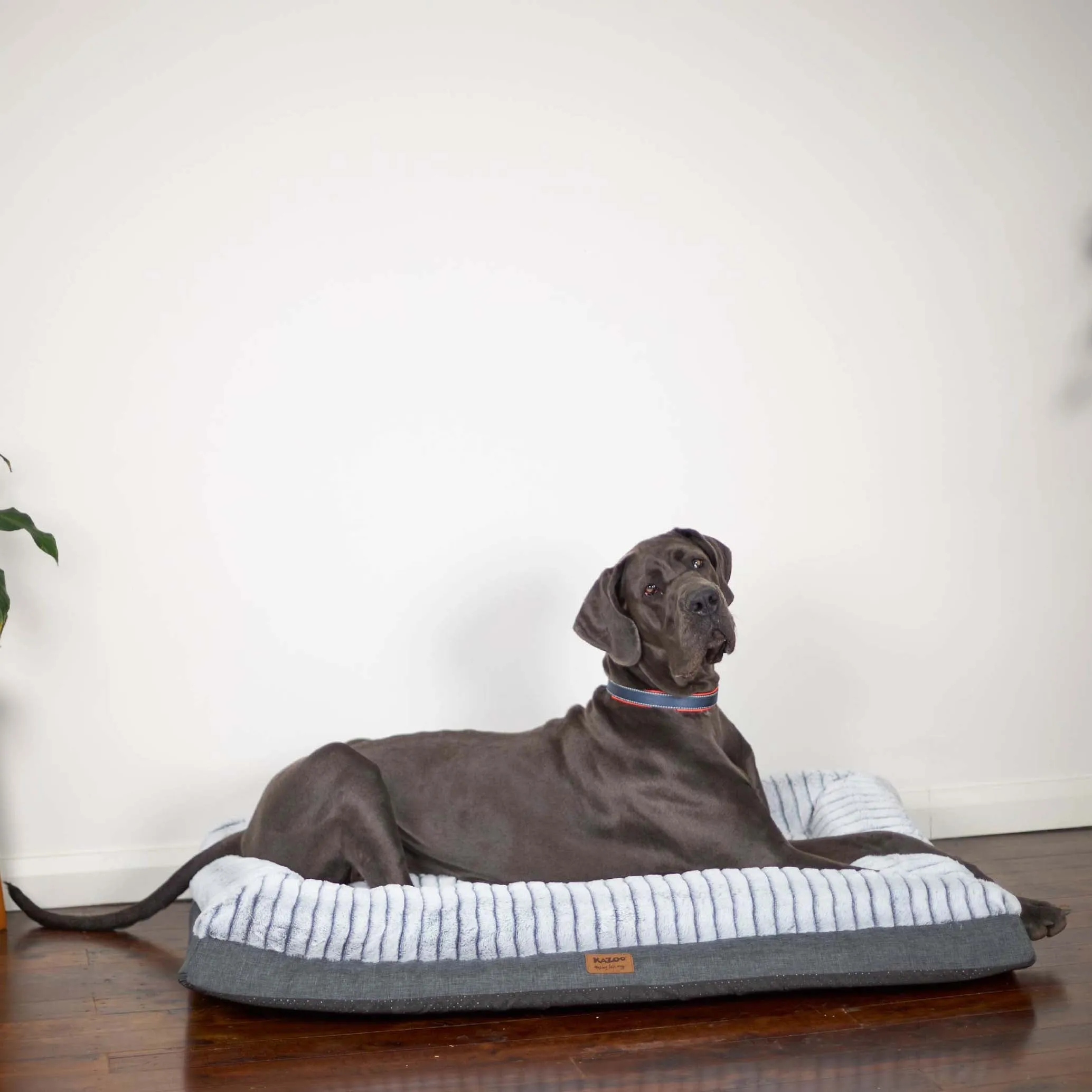 Cloud Comfort Dog Bed