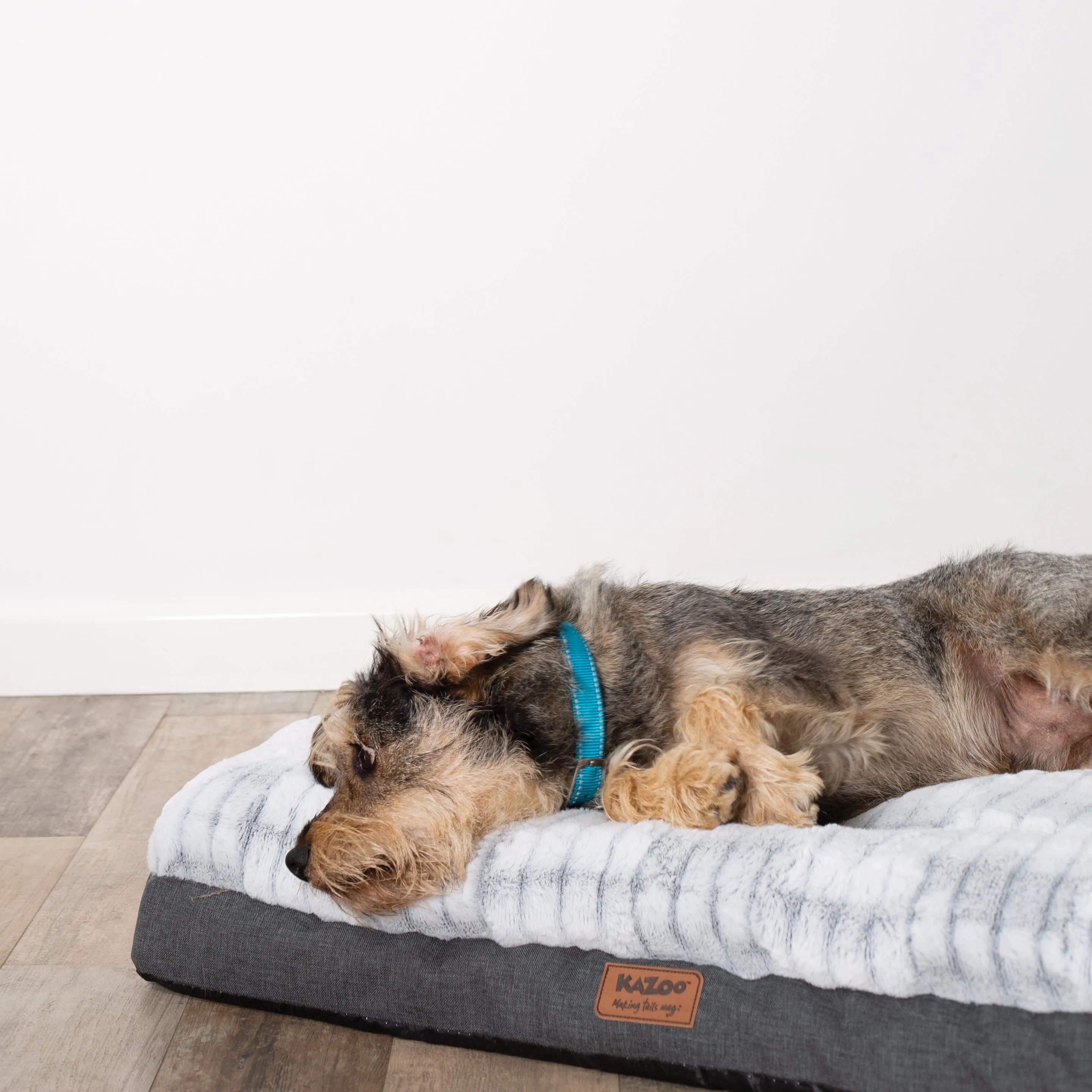 Cloud Comfort Dog Bed
