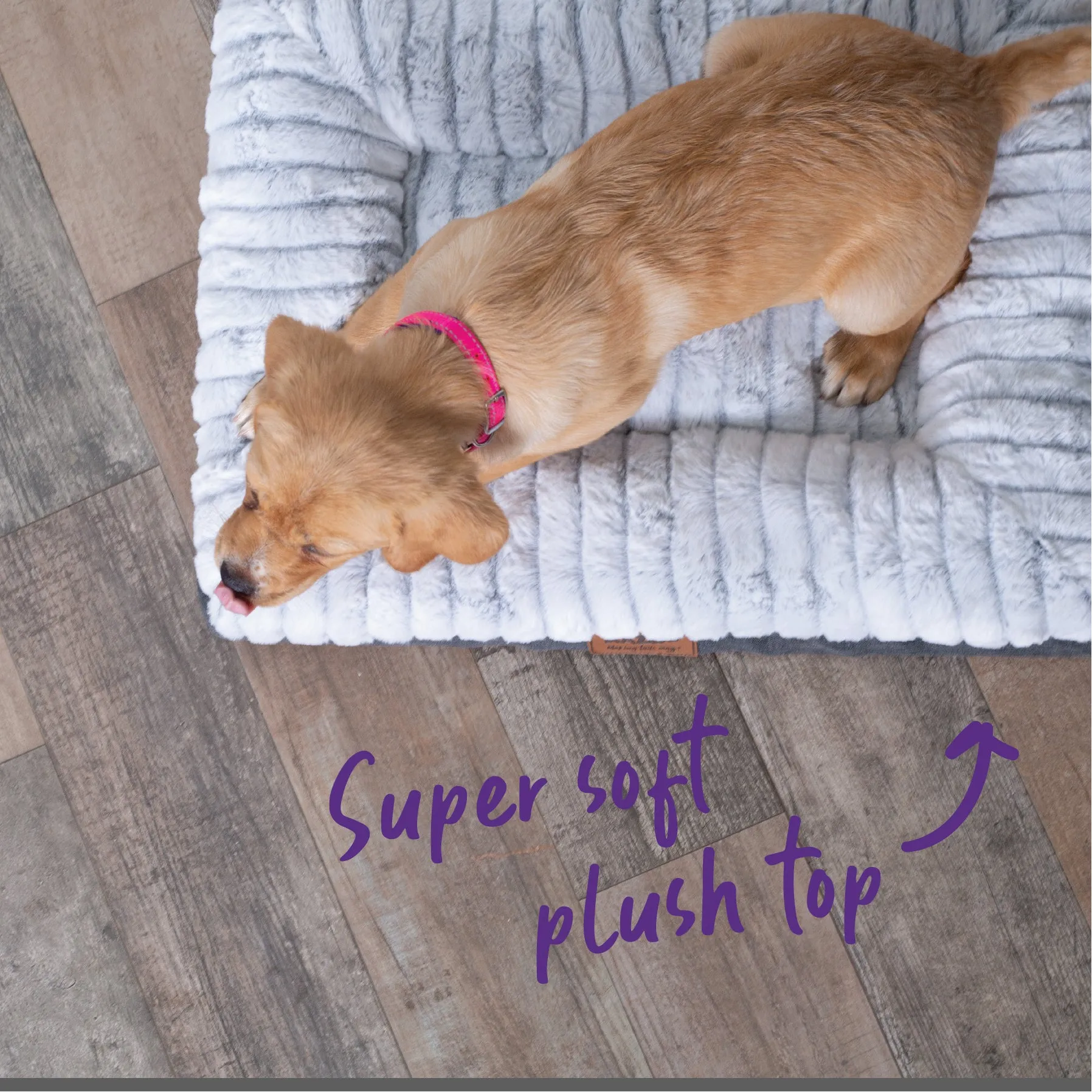 Cloud Comfort Dog Bed