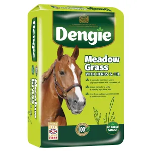 Dengie Meadow Grass