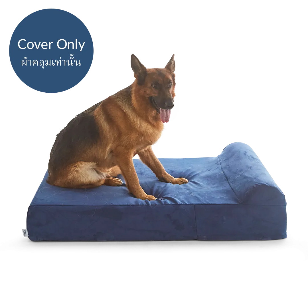 Dog Bed Cover