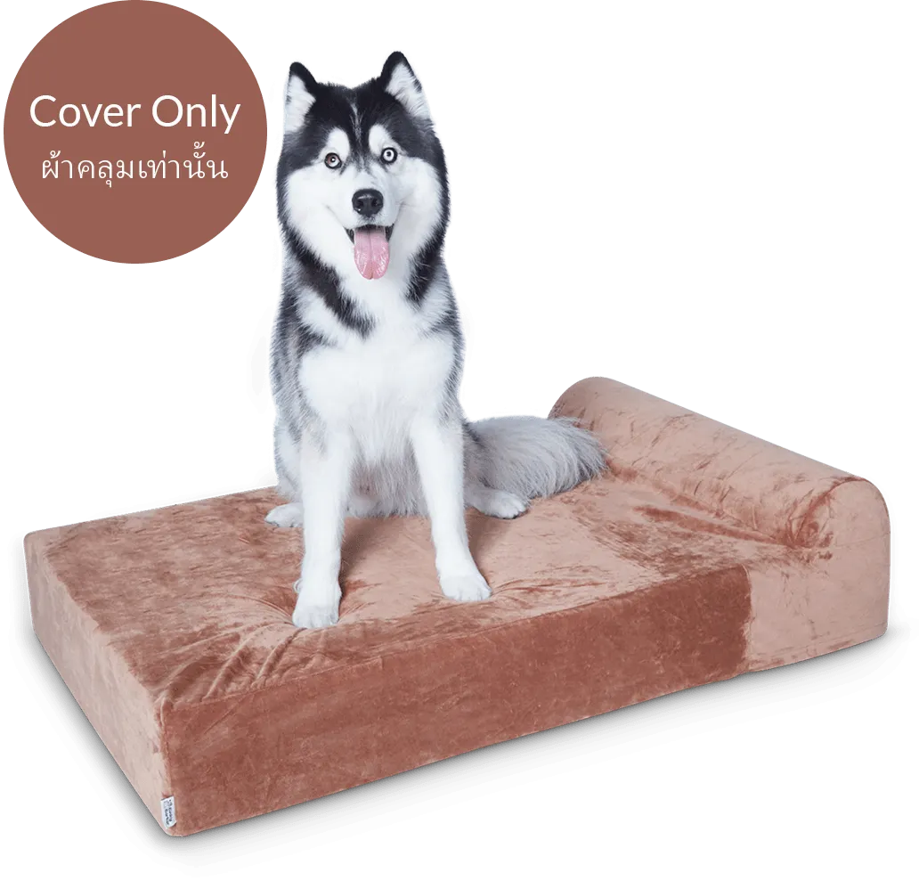 Dog Bed Cover