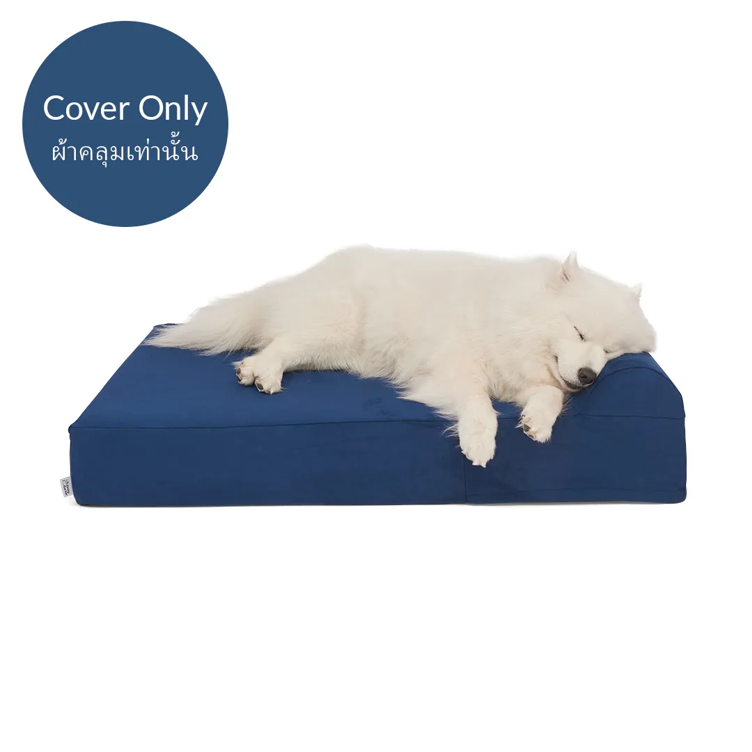 Dog Bed Cover