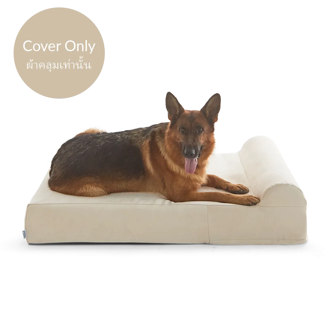 Dog Bed Cover