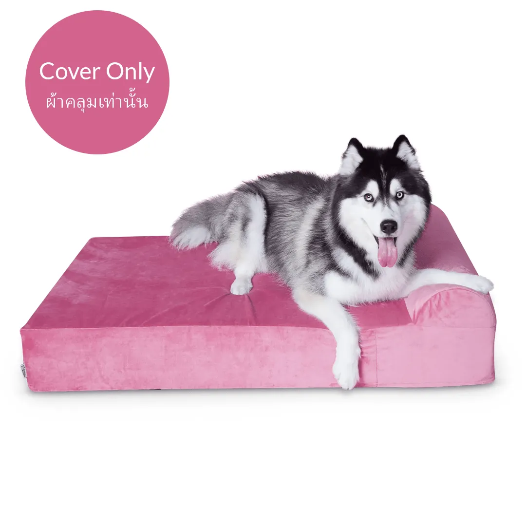 Dog Bed Cover