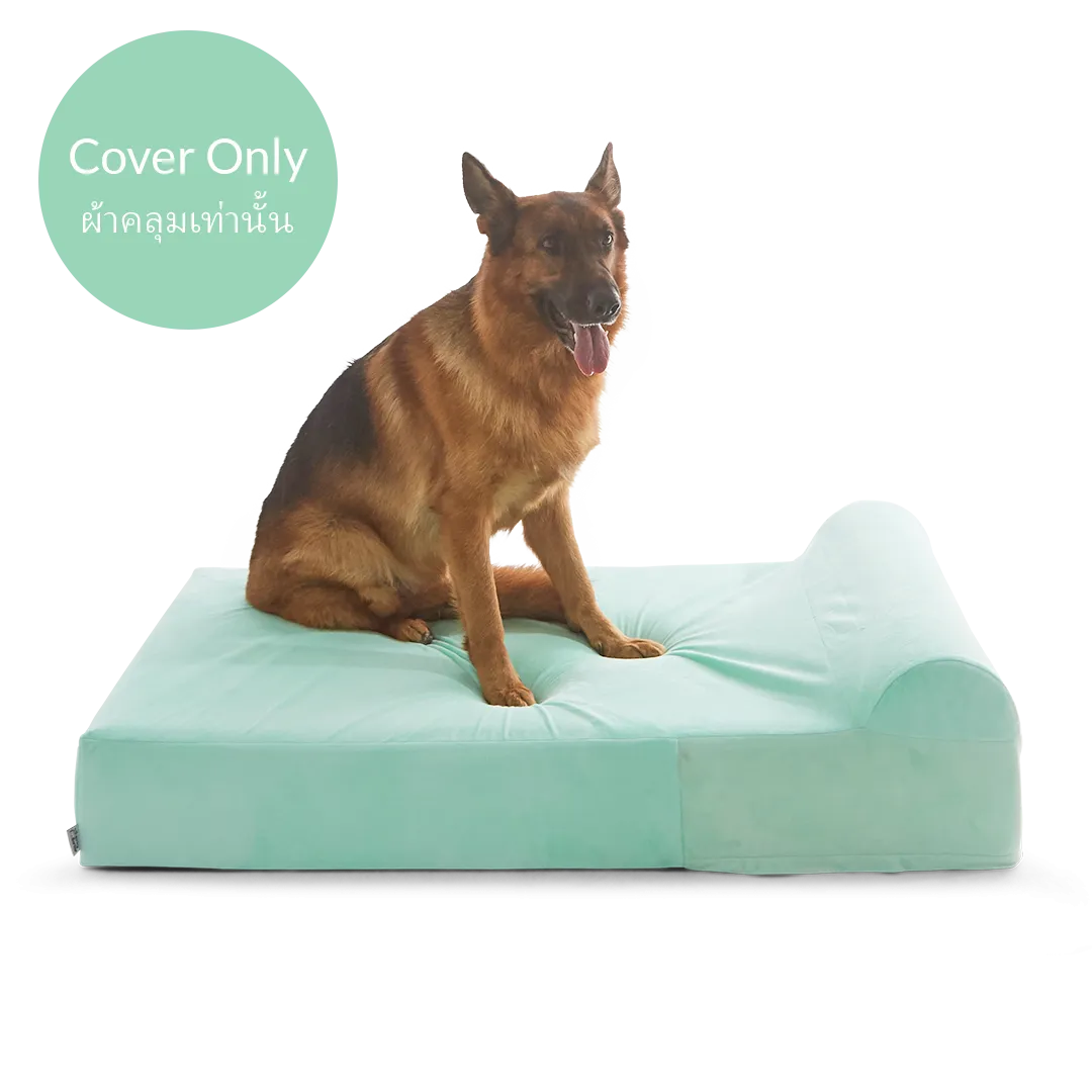 Dog Bed Cover