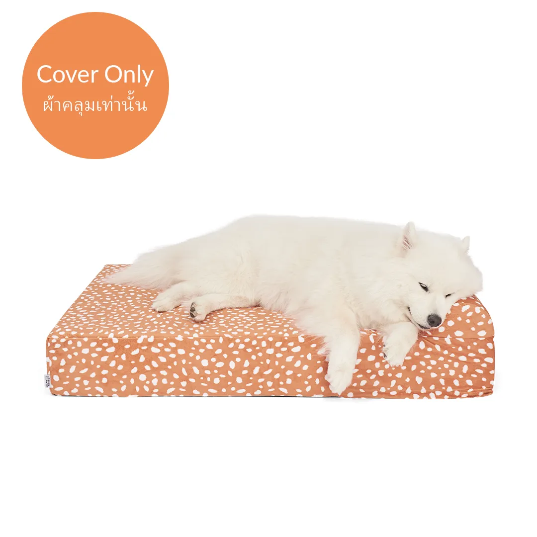 Dog Bed Cover