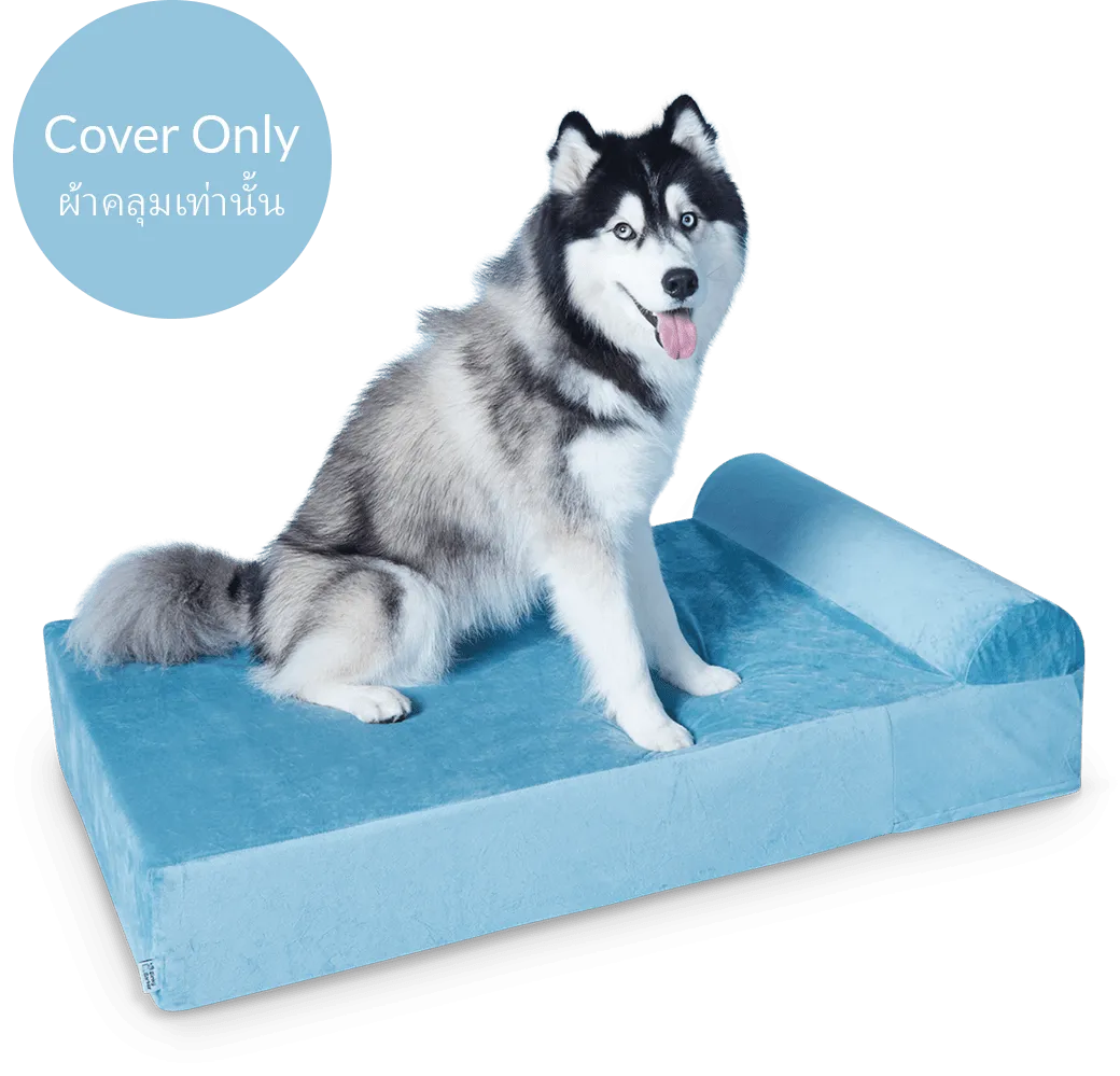 Dog Bed Cover