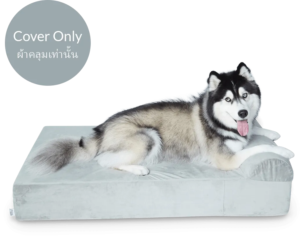 Dog Bed Cover