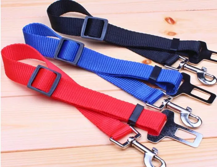 Dog Seat Belt