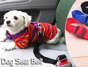 Dog Seat Belt