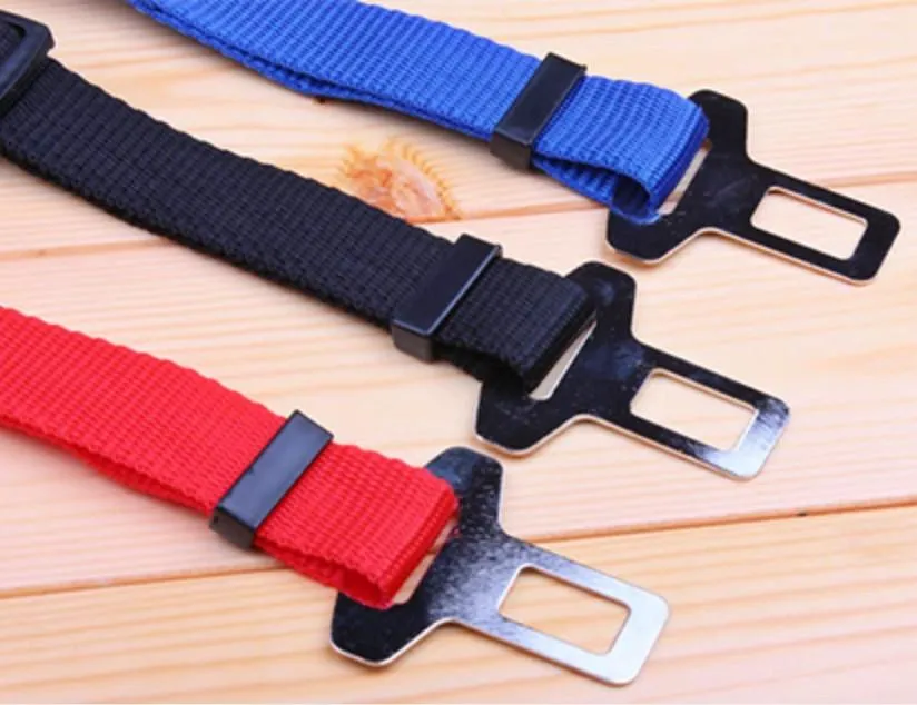 Dog Seat Belt