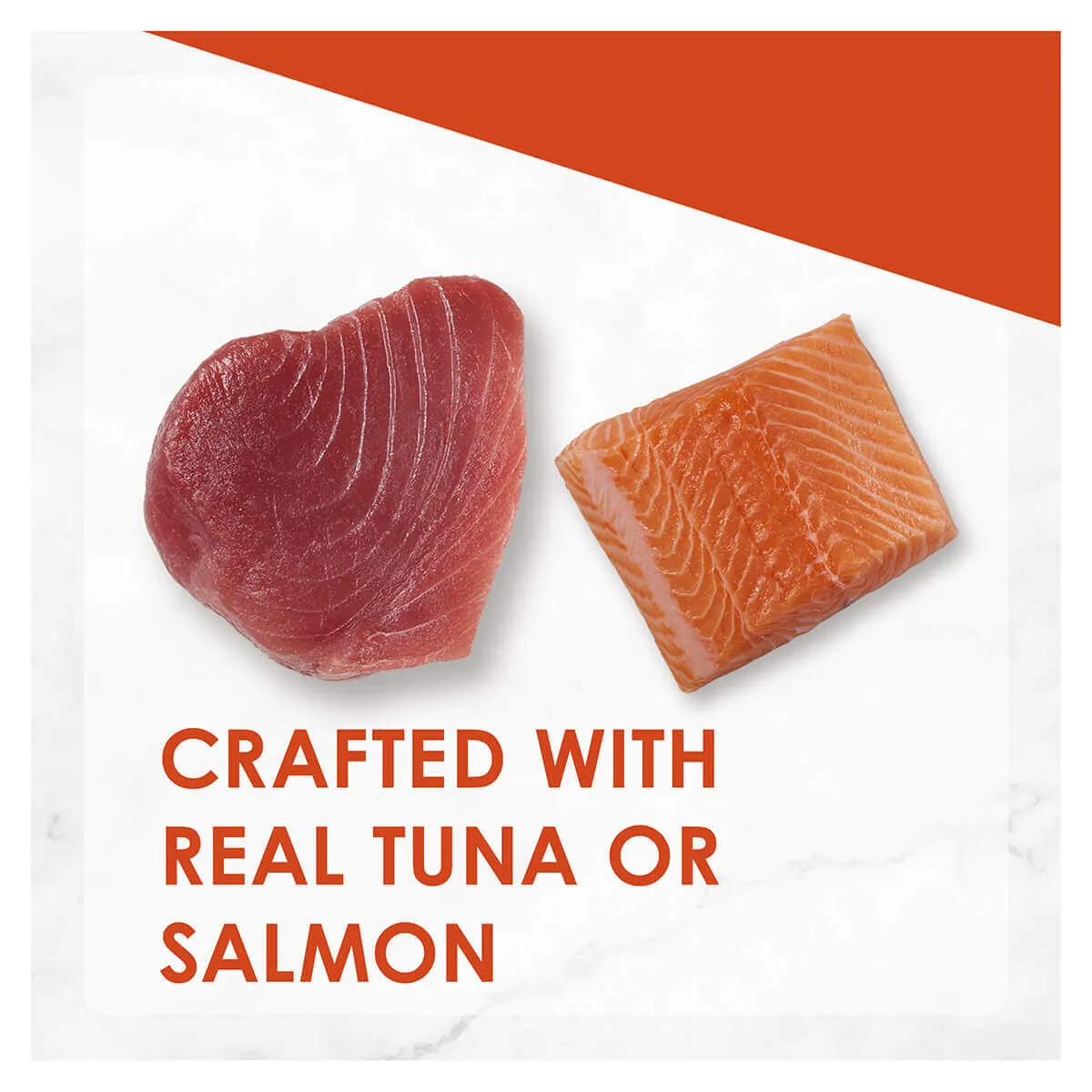 Fancy Feast Inspirations Salmon and Tuna Wet Cat Food 12x70g