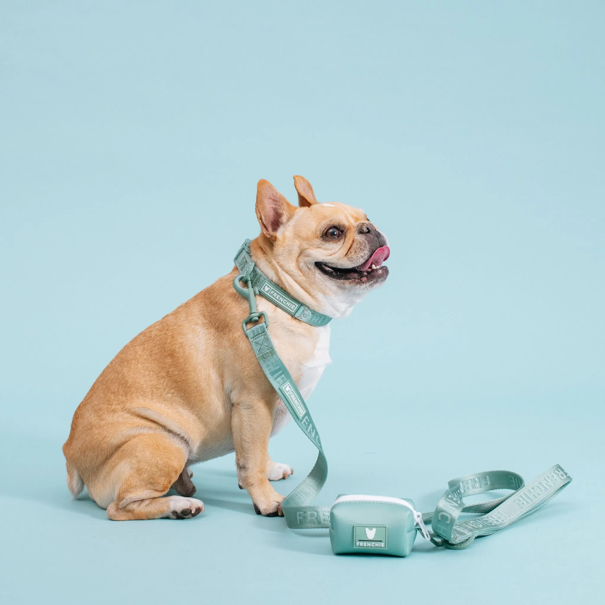 Frenchie Comfort Leash - Sage