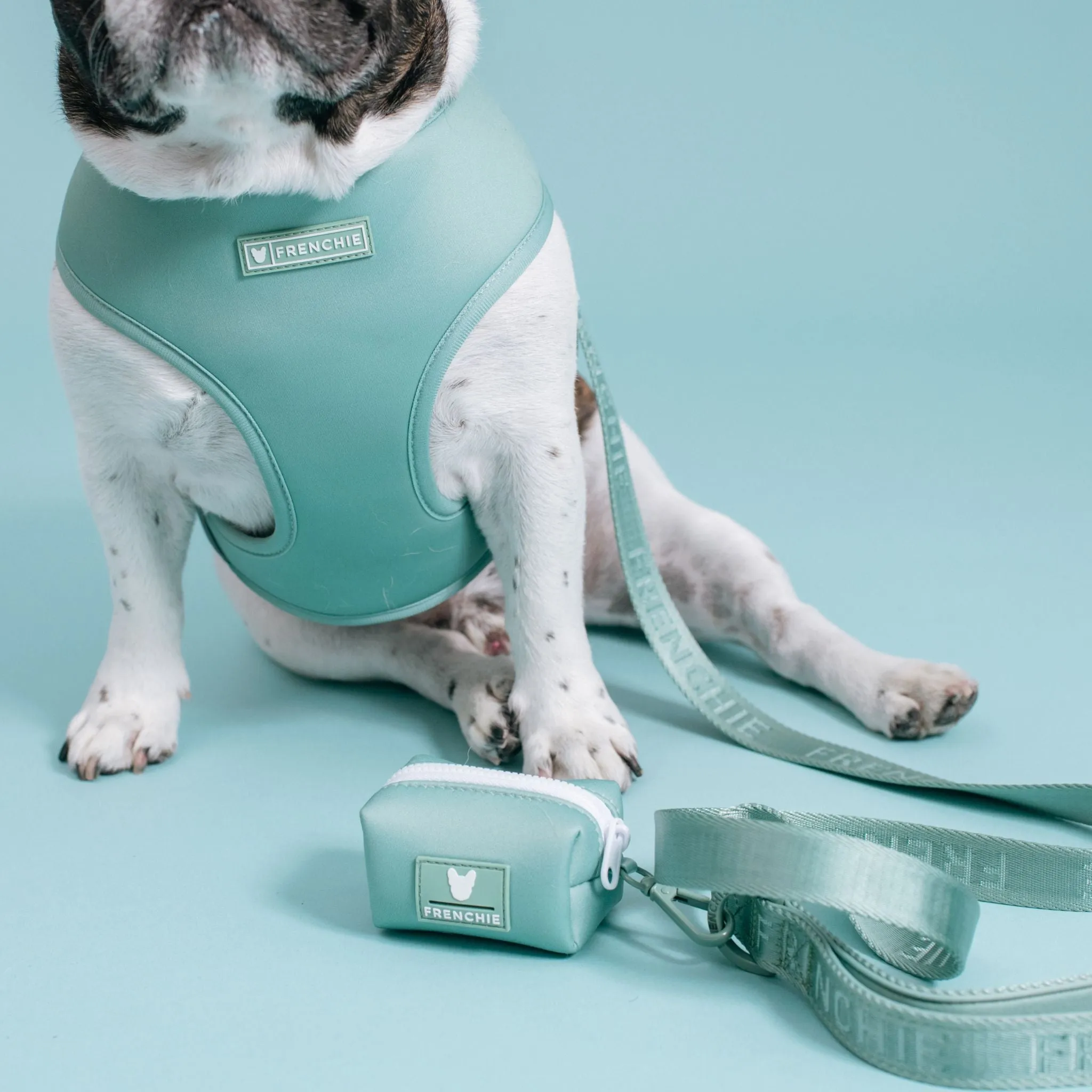 Frenchie Comfort Leash - Sage