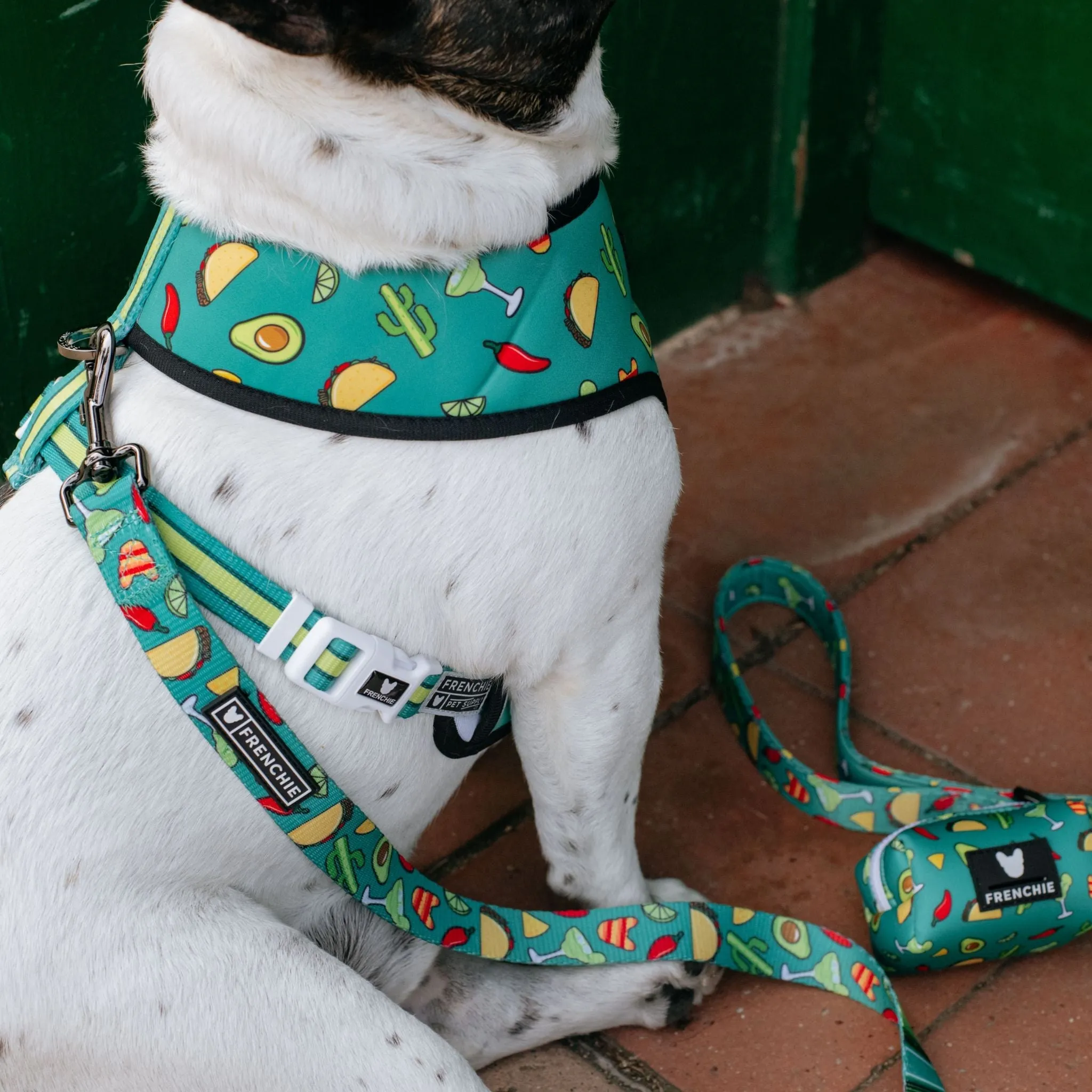 Frenchie Comfort Leash - Taco Tuesday- Green
