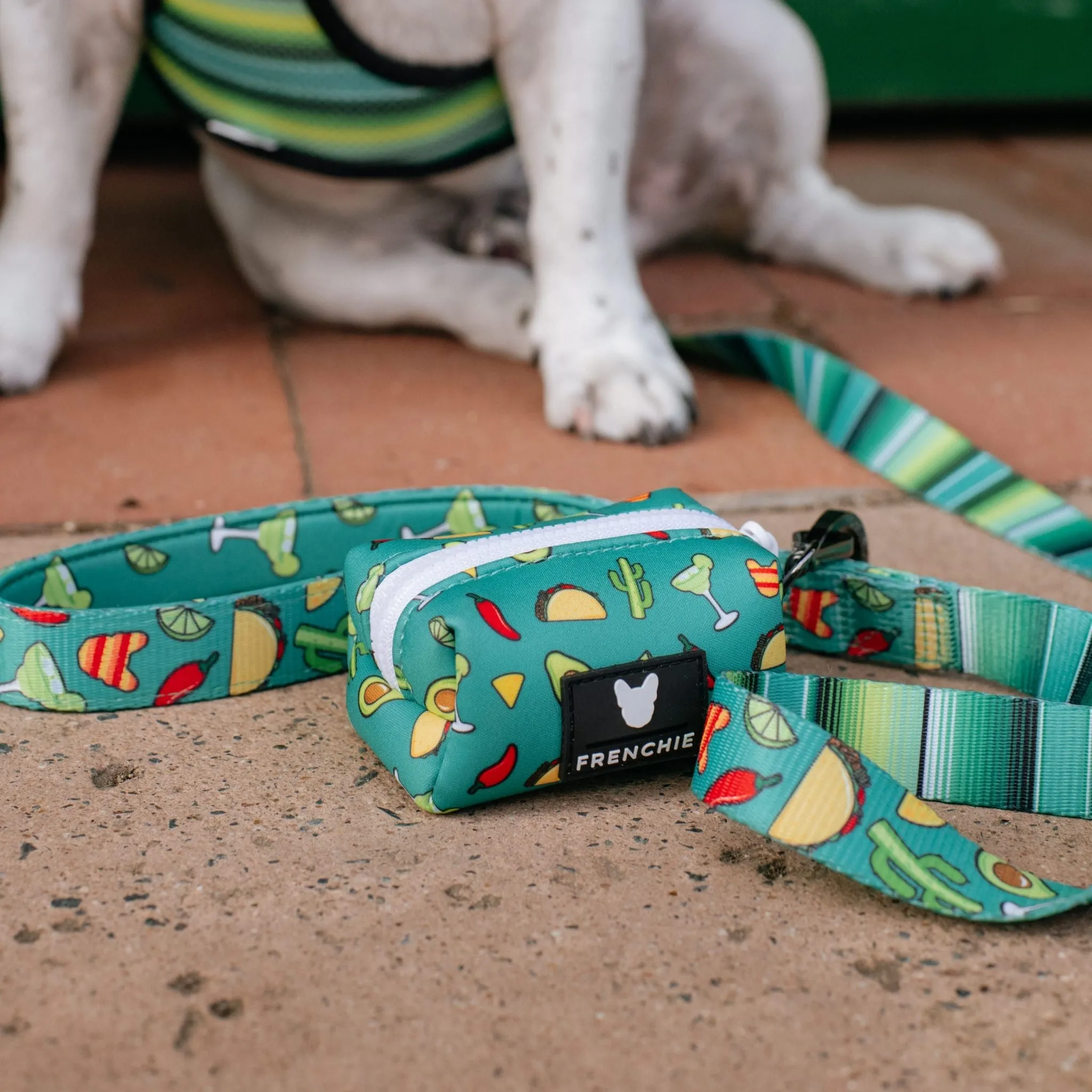 Frenchie Comfort Leash - Taco Tuesday- Green