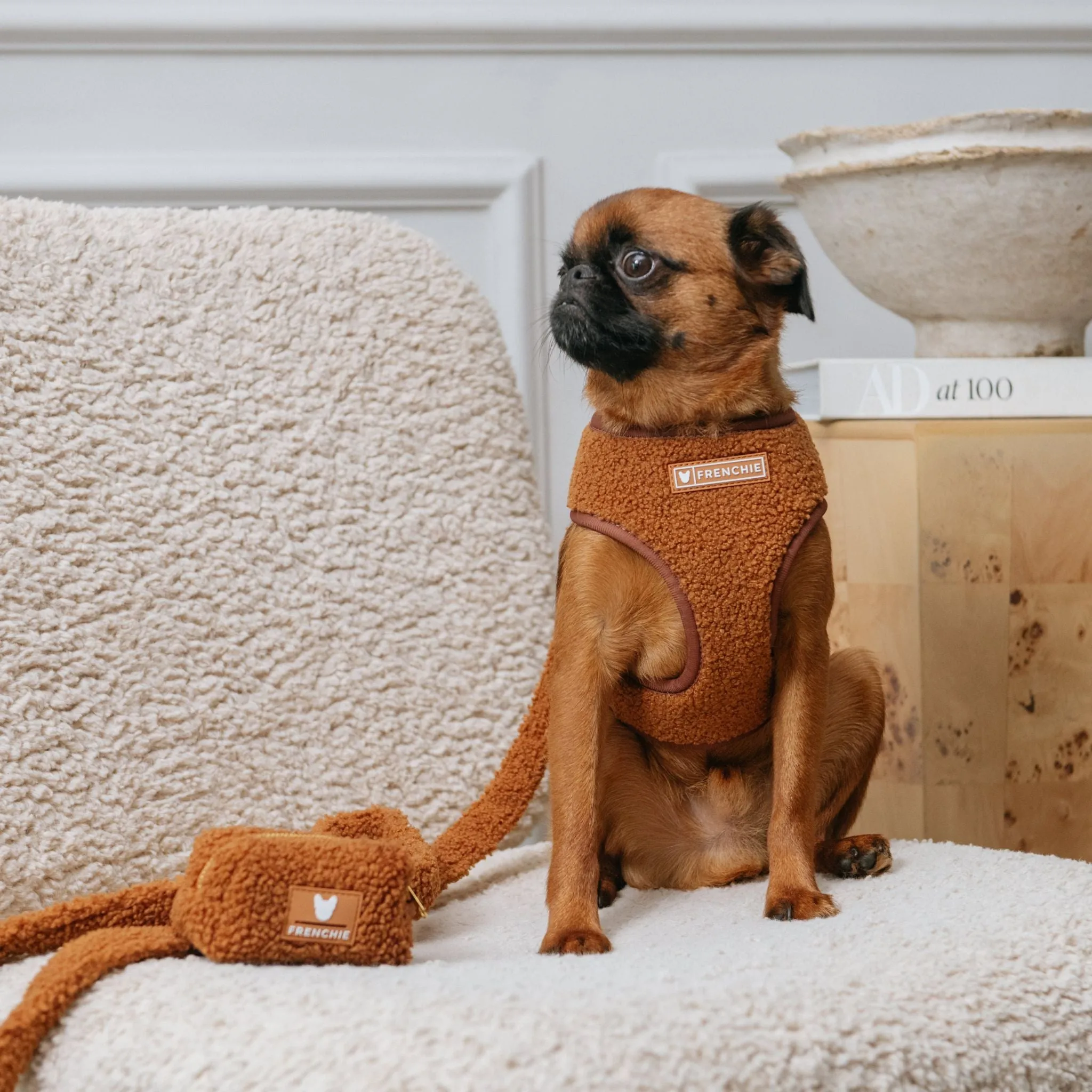 Frenchie Comfort Leash - Teddy Brown