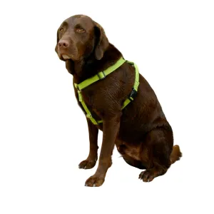 Hemp Dog Harness  Basic GREEN