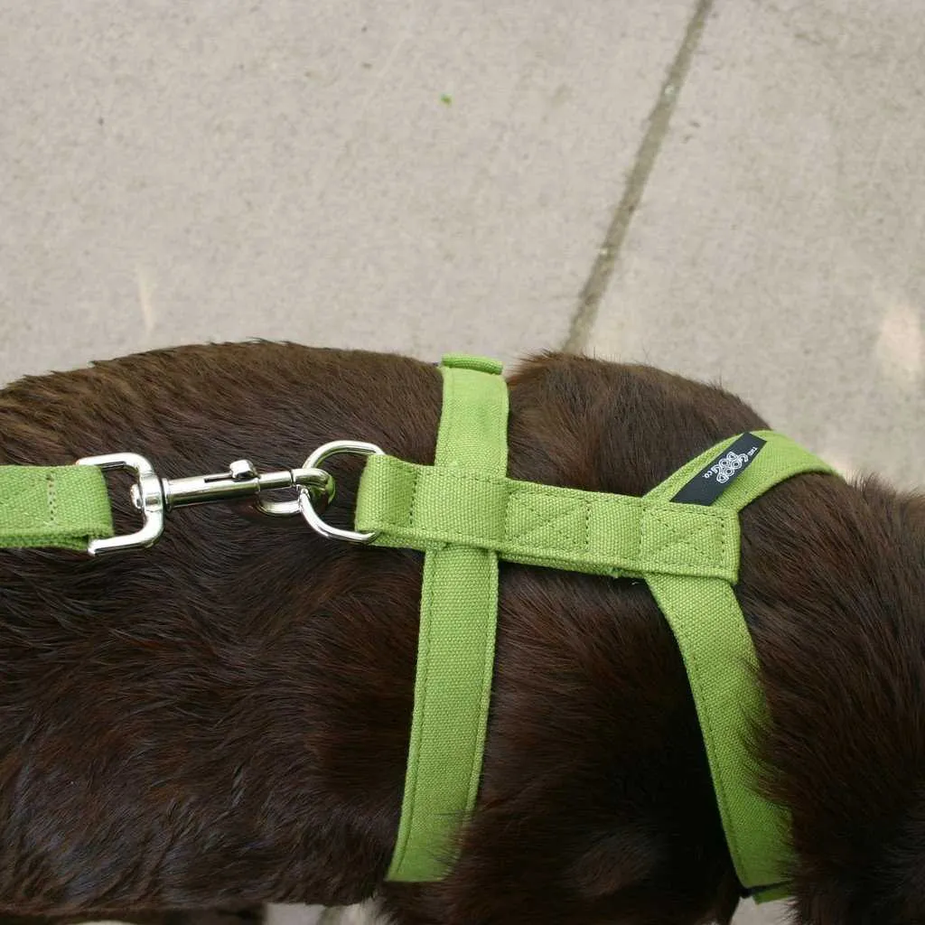 Hemp Dog Harness  Basic GREEN