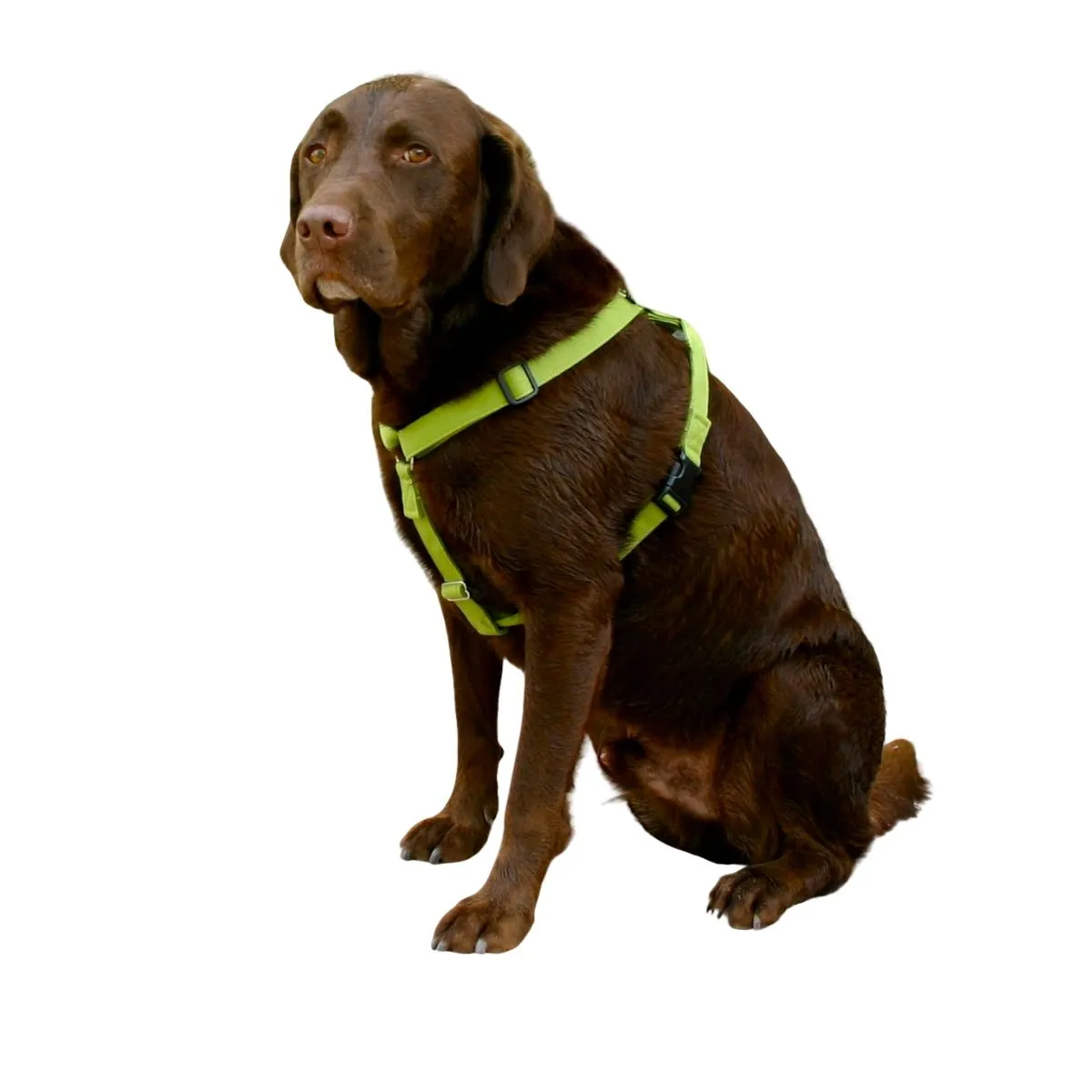 Hemp Dog Harness  Basic GREEN